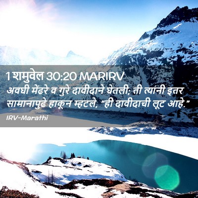 Picture 02 - 1 शमुवेल 30:20 MARIRV - अवघी मेंढरे व गुरे - Bible Verse Picture