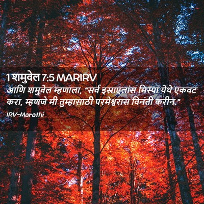 Picture 02 - 1 शमुवेल 7:5 MARIRV - आणि शमुवेल - Bible Verse Picture