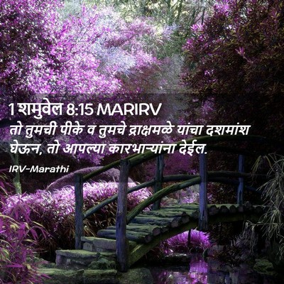 Picture 02 - 1 शमुवेल 8:15 MARIRV - तो तुमची पीके व - Bible Verse Picture