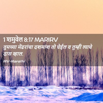 Picture 02 - 1 शमुवेल 8:17 MARIRV - तुमच्या मेंढरांचा - Bible Verse Picture