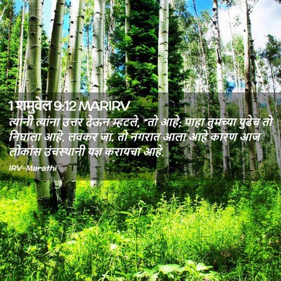 Picture 02 - 1 शमुवेल 9:12 MARIRV - त्यांनी त्यांना - Bible Verse Picture