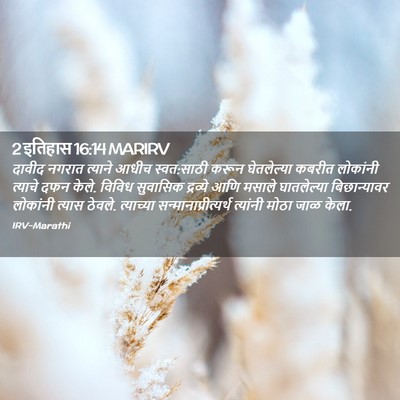 Picture 02 - 2 इतिहास 16:14 MARIRV - दावीद नगरात - Bible Verse Picture