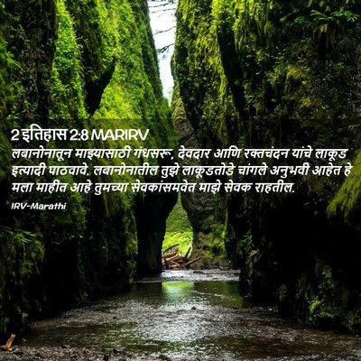 Picture 02 - 2 इतिहास 2:8 MARIRV - लबानोनातून - Bible Verse Picture