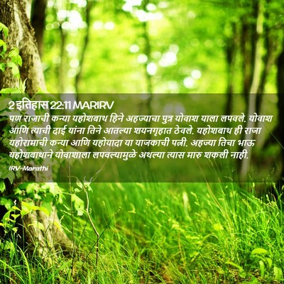 Picture 02 - 2 इतिहास 22:11 MARIRV - पण राजाची कन्या - Bible Verse Picture