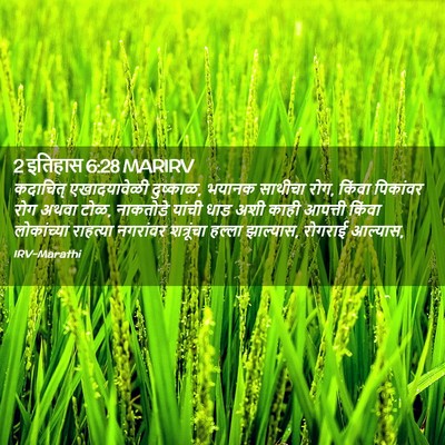 Picture 02 - 2 इतिहास 6:28 MARIRV - कदाचित् - Bible Verse Picture