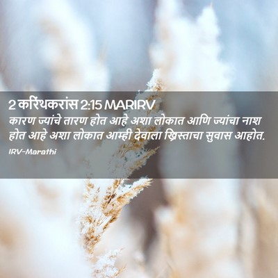 Picture 02 - 2 करिंथकरांस 2:15 MARIRV - कारण ज्यांचे तारण - Bible Verse Picture