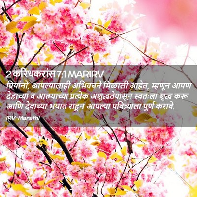 Picture 02 - 2 करिंथकरांस 7:1 MARIRV - प्रियांनो, - Bible Verse Picture