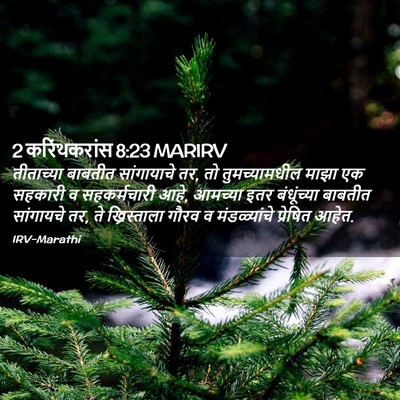 Picture 02 - 2 करिंथकरांस 8:23 MARIRV - तीताच्या बाबतीत - Bible Verse Picture