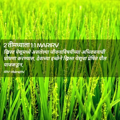 Picture 02 - 2 तीमथ्याला 1:1 MARIRV - ख्रिस्त येशूमध्ये - Bible Verse Picture