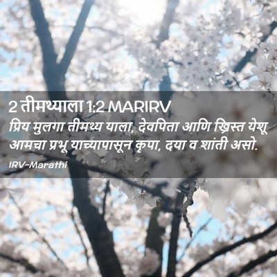Picture 02 - 2 तीमथ्याला 1:2 MARIRV - प्रिय मुलगा - Bible Verse Picture