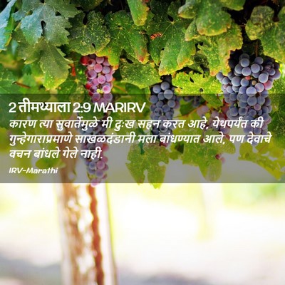 Picture 02 - 2 तीमथ्याला 2:9 MARIRV - कारण त्या - Bible Verse Picture