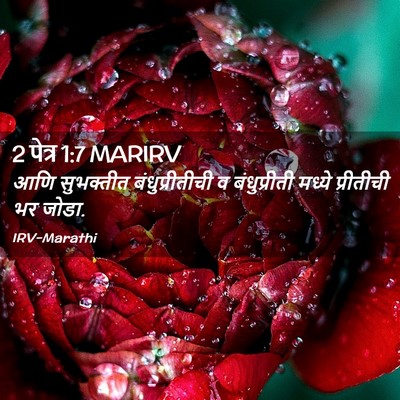 Picture 02 - 2 पेत्र 1:7 MARIRV - आणि सुभक्तीत - Bible Verse Picture