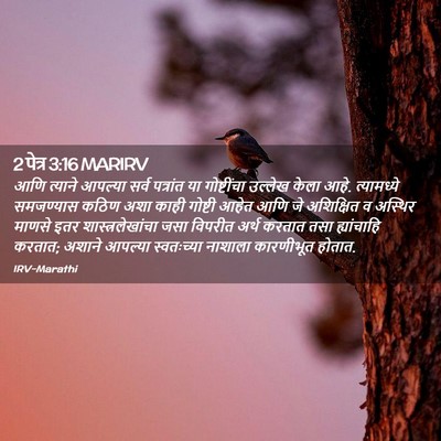Picture 02 - 2 पेत्र 3:16 MARIRV - आणि त्याने आपल्या - Bible Verse Picture