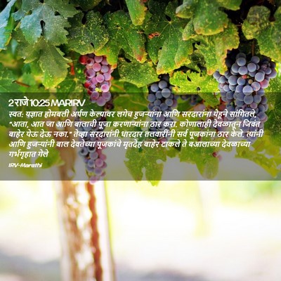 Picture 02 - 2 राजे 10:25 MARIRV - स्वत: यज्ञात - Bible Verse Picture