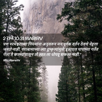Picture 02 - 2 राजे 10:31 MARIRV - पण परमेश्वराच्या - Bible Verse Picture