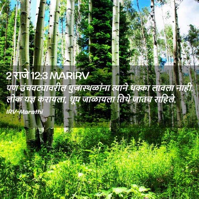 Picture 02 - 2 राजे 12:3 MARIRV - पण उंचवट्यावरील - Bible Verse Picture