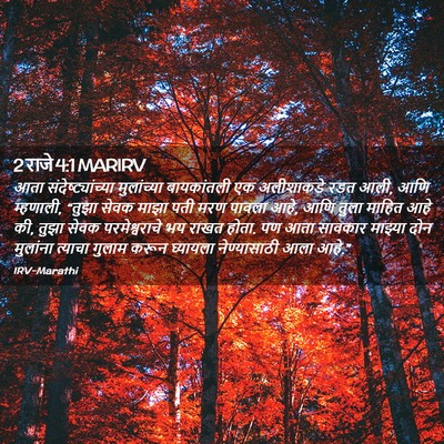 Picture 02 - 2 राजे 4:1 MARIRV - आता - Bible Verse Picture