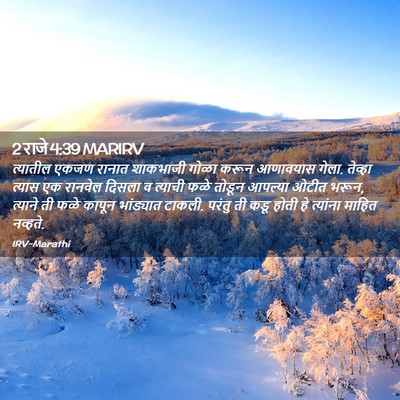 Picture 02 - 2 राजे 4:39 MARIRV - त्यातील एकजण - Bible Verse Picture