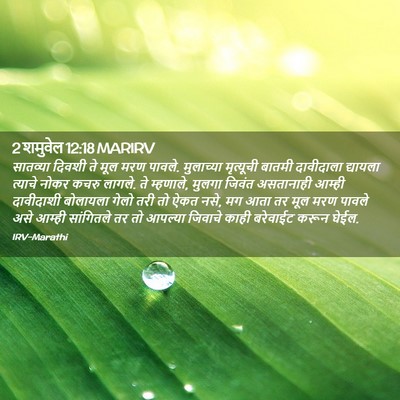 Picture 02 - 2 शमुवेल 12:18 MARIRV - सातव्या दिवशी ते - Bible Verse Picture