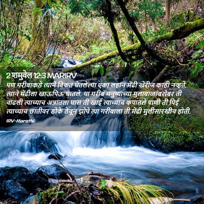 Picture 02 - 2 शमुवेल 12:3 MARIRV - पण गरीबाकडे - Bible Verse Picture