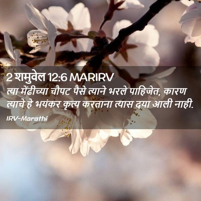 Picture 02 - 2 शमुवेल 12:6 MARIRV - त्या मेंढीच्या - Bible Verse Picture
