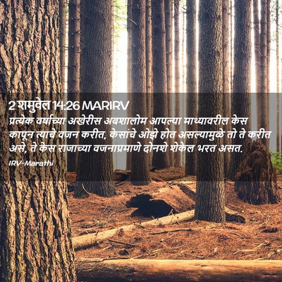 Picture 02 - 2 शमुवेल 14:26 MARIRV - प्रत्येक - Bible Verse Picture