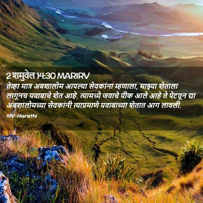 Picture 02 - 2 शमुवेल 14:30 MARIRV - तेव्हा मात्र - Bible Verse Picture