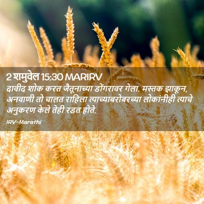 Picture 02 - 2 शमुवेल 15:30 MARIRV - दावीद शोक करत - Bible Verse Picture