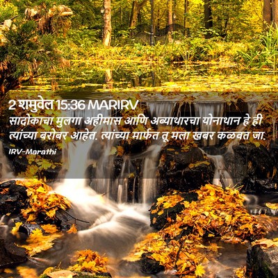 Picture 02 - 2 शमुवेल 15:36 MARIRV - सादोकाचा मुलगा - Bible Verse Picture