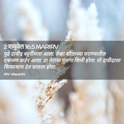 Picture 02 - 2 शमुवेल 16:5 MARIRV - पुढे दावीद - Bible Verse Picture