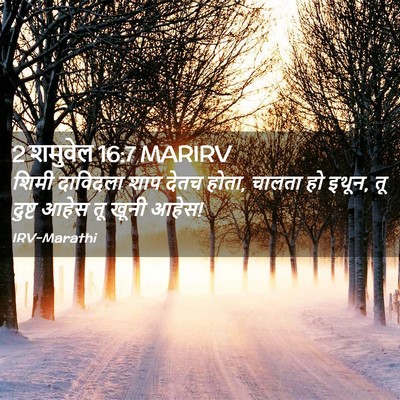 Picture 02 - 2 शमुवेल 16:7 MARIRV - शिमी दाविदला शाप - Bible Verse Picture