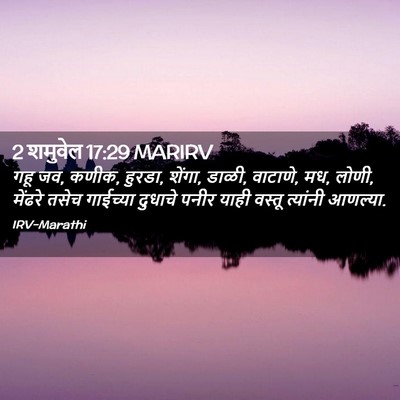 Picture 02 - 2 शमुवेल 17:29 MARIRV - गहू जव, कणीक, हुरडा, - Bible Verse Picture
