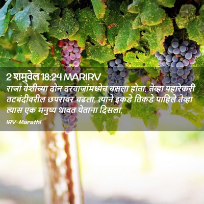 Picture 02 - 2 शमुवेल 18:24 MARIRV - राजा वेशीच्या दोन - Bible Verse Picture