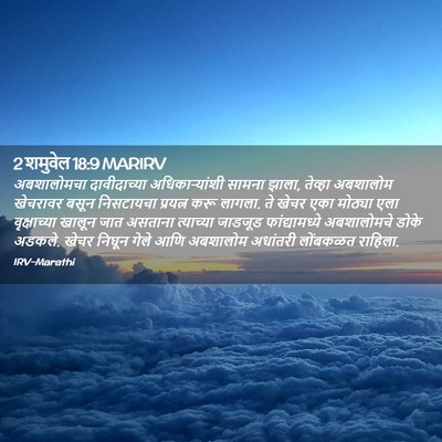 Picture 02 - 2 शमुवेल 18:9 MARIRV - अबशालोमचा - Bible Verse Picture