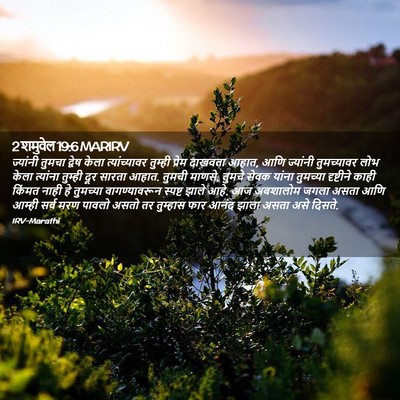 Picture 02 - 2 शमुवेल 19:6 MARIRV - ज्यांनी तुमचा - Bible Verse Picture