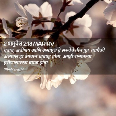 Picture 02 - 2 शमुवेल 2:18 MARIRV - यवाब, अबीशय आणि - Bible Verse Picture