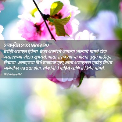 Picture 02 - 2 शमुवेल 2:23 MARIRV - तरीही असाएल ऐकेना. - Bible Verse Picture