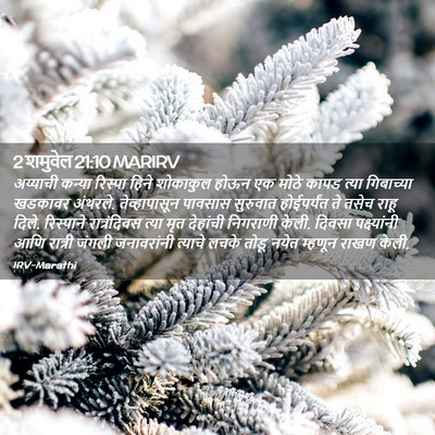 Picture 02 - 2 शमुवेल 21:10 MARIRV - अय्याची कन्या - Bible Verse Picture