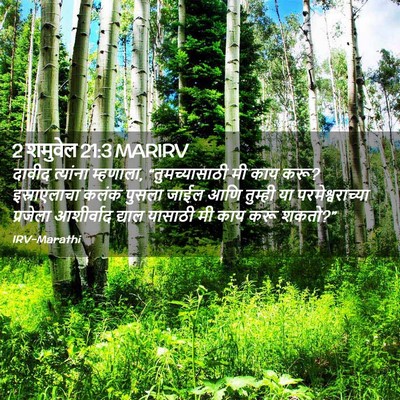 Picture 02 - 2 शमुवेल 21:3 MARIRV - दावीद त्यांना - Bible Verse Picture