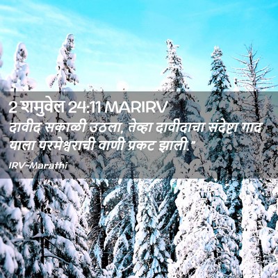 Picture 02 - 2 शमुवेल 24:11 MARIRV - दावीद सकाळी उठला, - Bible Verse Picture