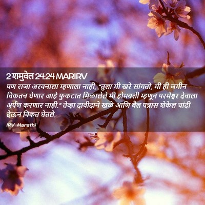 Picture 02 - 2 शमुवेल 24:24 MARIRV - पण राजा अरवनाला - Bible Verse Picture