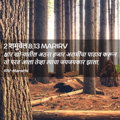 Picture 02 - 2 शमुवेल 8:13 MARIRV - क्षार खोऱ्यातील - Bible Verse Picture