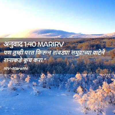 Picture 02 - अनुवाद 1:40 MARIRV - पण तुम्ही परत - Bible Verse Picture