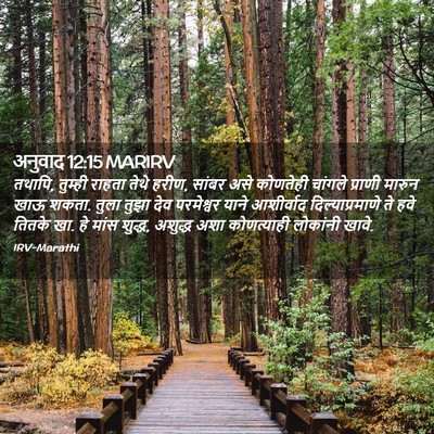 Picture 02 - अनुवाद 12:15 MARIRV - तथापि, तुम्ही - Bible Verse Picture