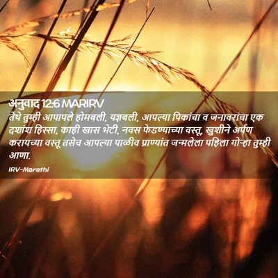 Picture 02 - अनुवाद 12:6 MARIRV - तेथे तुम्ही - Bible Verse Picture