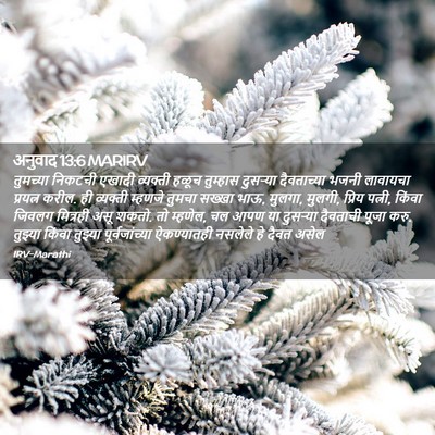 Picture 02 - अनुवाद 13:6 MARIRV - तुमच्या निकटची - Bible Verse Picture