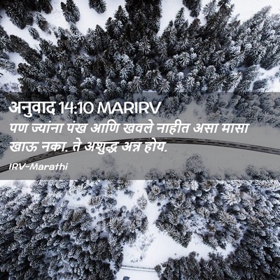 Picture 02 - अनुवाद 14:10 MARIRV - पण ज्यांना पंख आणि - Bible Verse Picture
