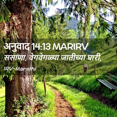 Picture 02 - अनुवाद 14:13 MARIRV - ससाणा, वेगवेगळ्या - Bible Verse Picture