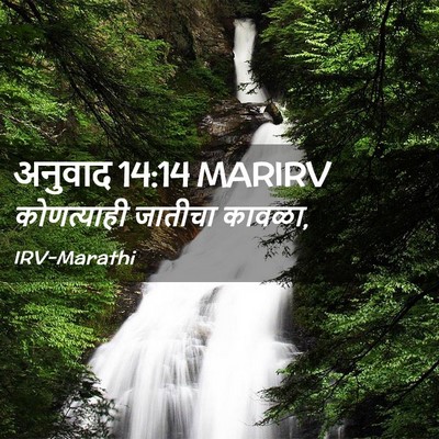 Picture 02 - अनुवाद 14:14 MARIRV - कोणत्याही जातीचा - Bible Verse Picture