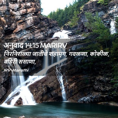 Picture 02 - अनुवाद 14:15 MARIRV - निरनिराळ्या - Bible Verse Picture